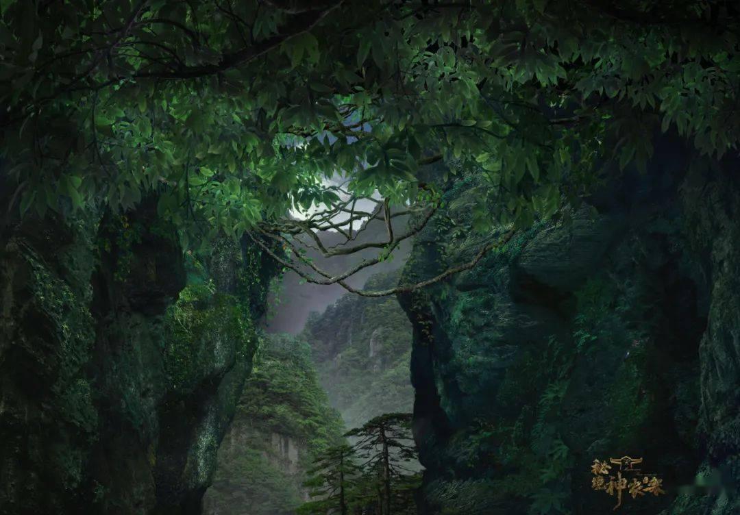 探索知识星球平台——考驾驶证科目一二三四总共花多少天时间?大好机会