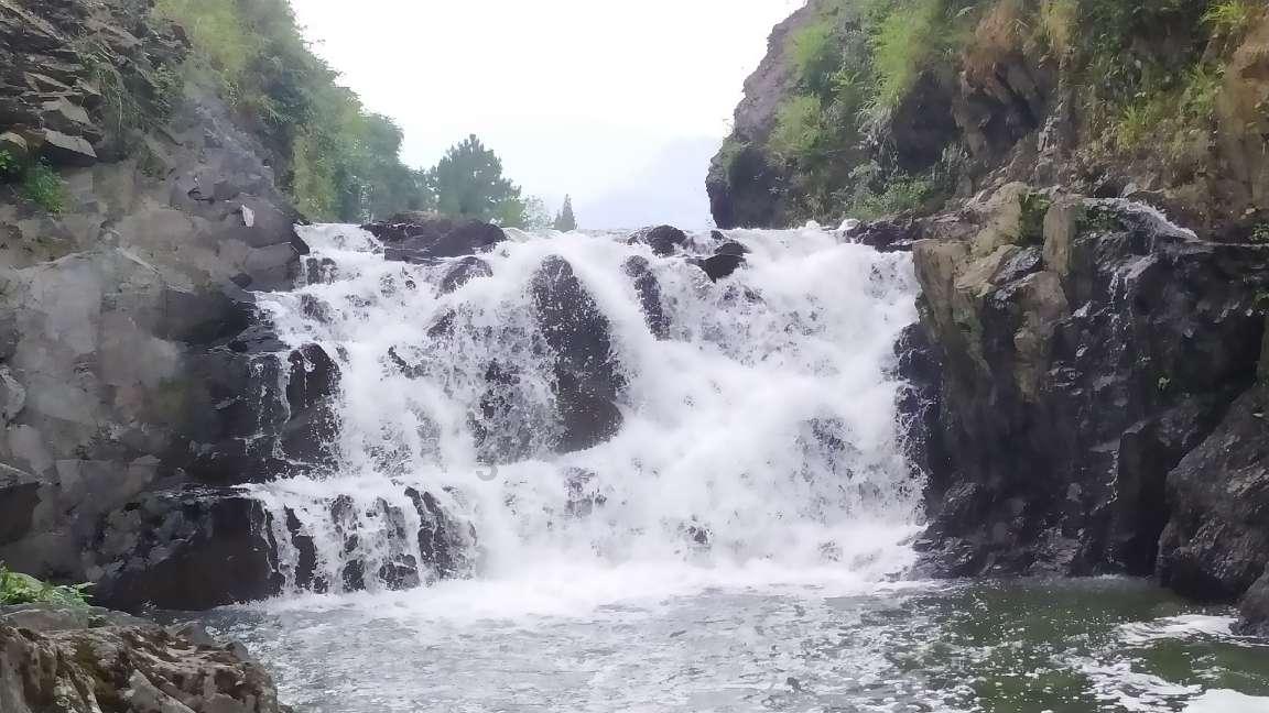 88影视